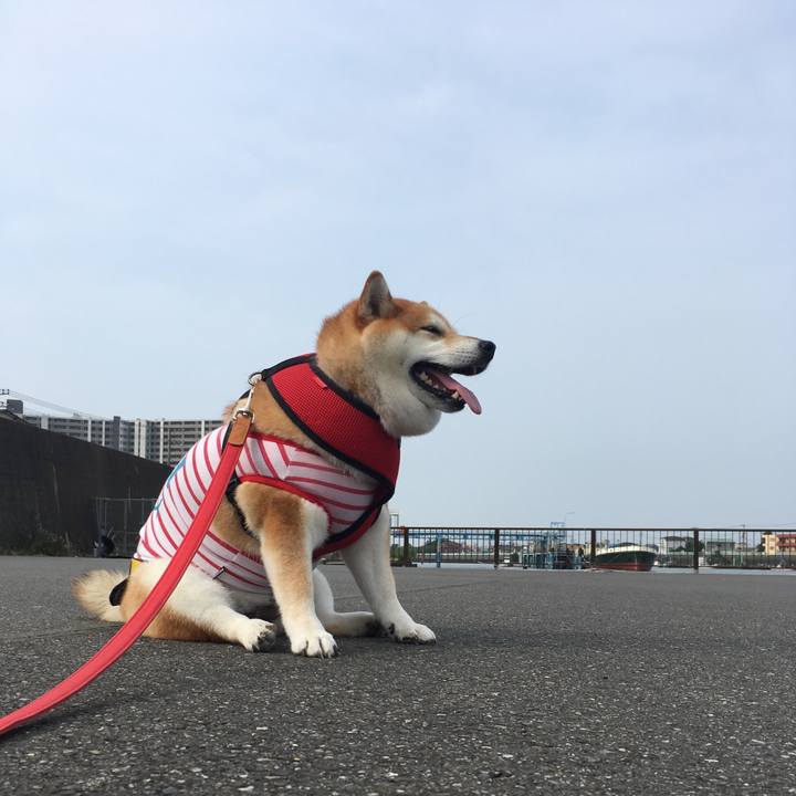 034c9df6 f671 403a b764 a8cc75e8a87e 1596845133760