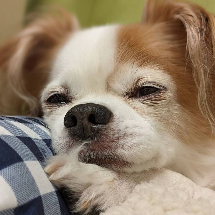 034cb4df b3bd 422a b0f6 16d9a1e4726f 1739002832628