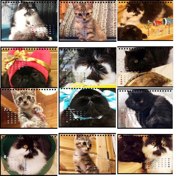 034cbf4c 2322 4428 aabe 315b3d37f207 1542510941837