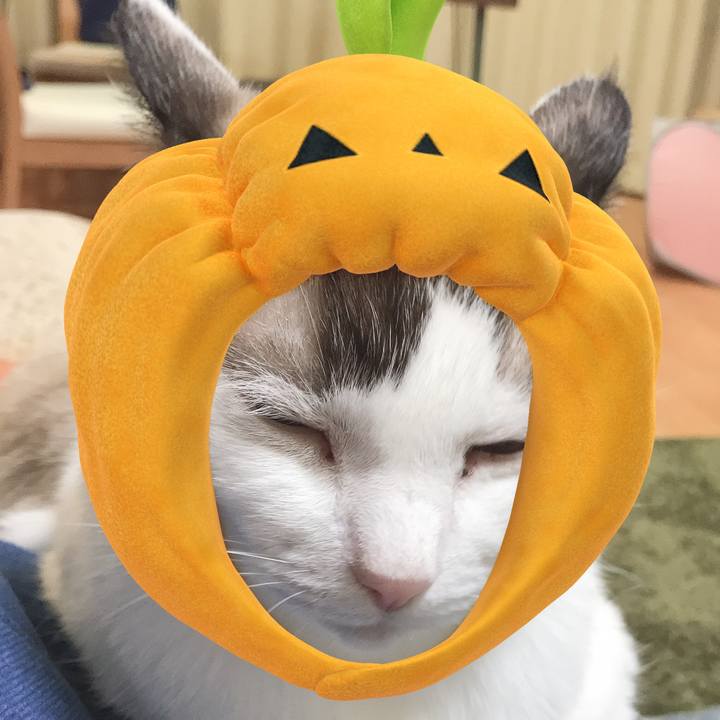 034cc2f1 15b4 4f06 94ea 2a3e9cb4bb23 1572517318221