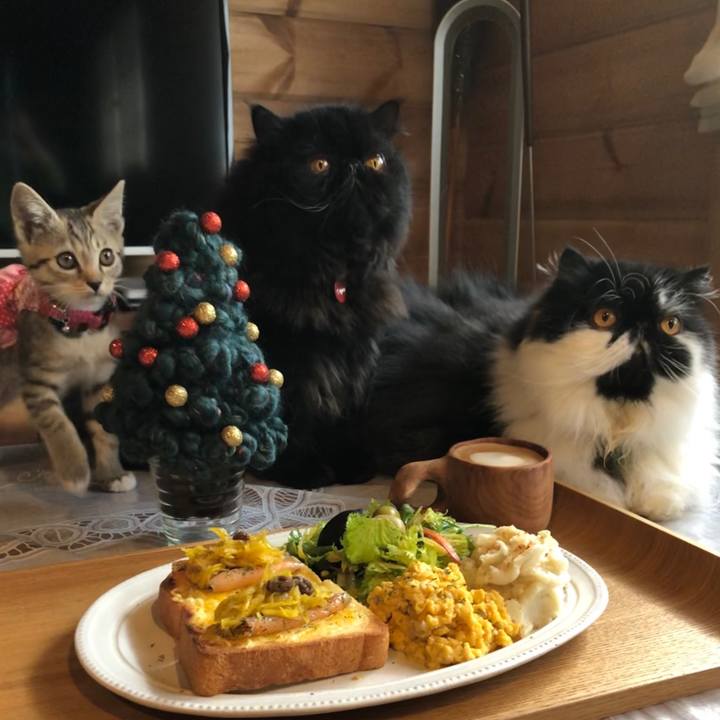 034cddc1 1019 4ba1 8766 7b790bcf5fa7 1544233821544