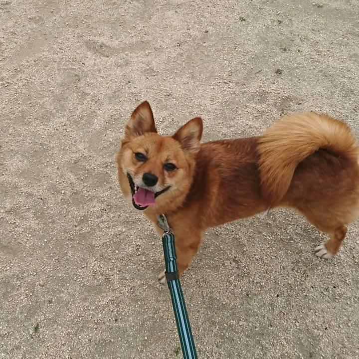 034ce06e 3871 4142 9ccc 8506666640db 1527638291614