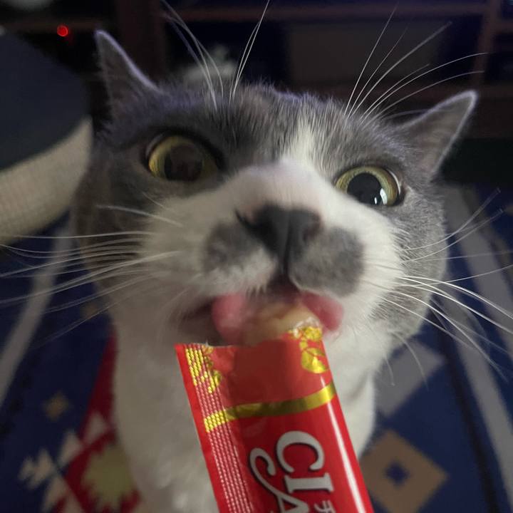 034cf383 86a0 443a bc25 1f6159526e47 1688106440865