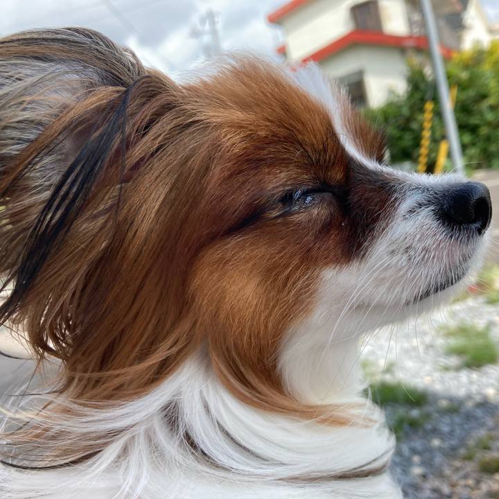 034d127f 9528 45d1 8486 08586bda4267 1632799683565