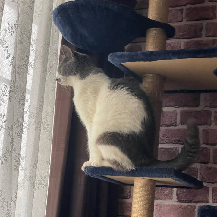 034d1a60 170e 4457 9c86 b7a4390381f7 1715038556916