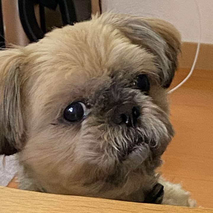 034d4062 e05c 4a63 b6bb 65b9a0f5771b 1579744772135