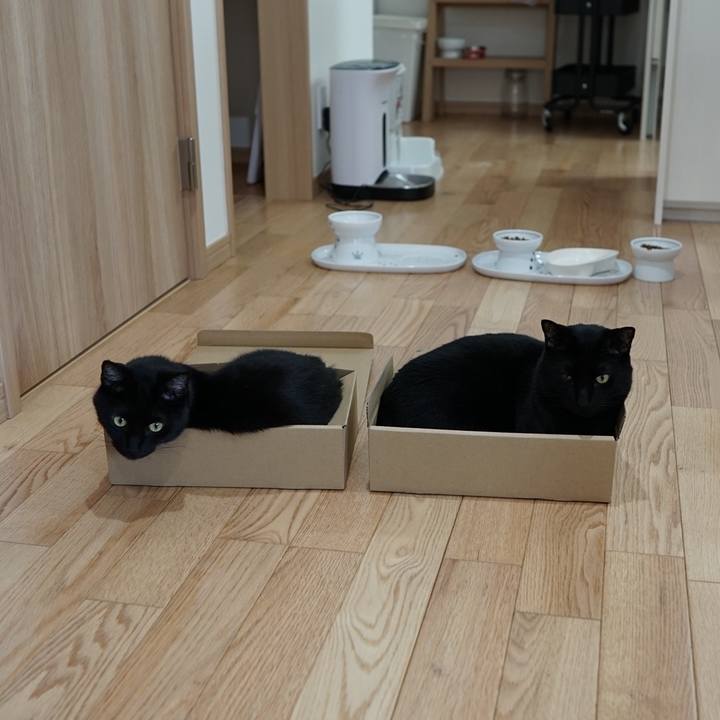 034d6fb5 b300 46d0 8f96 3479213abdb3 1558568091191