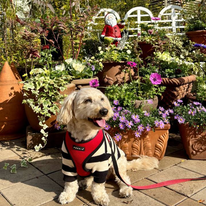 034d84c4 75e1 477a 9e93 7ad00ddb2daa 1764653924791