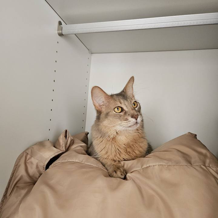 034d87d4 cfc0 4a1b a9fb 6bf095157f21 1712462166971