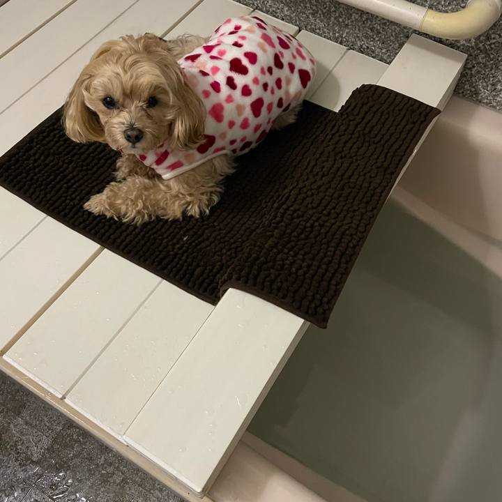 034de224 9d98 4987 807e 1f92dcc4d89e 1642696185668