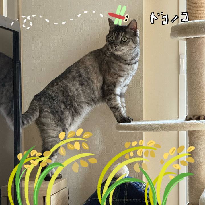 034dec79 4875 4906 b075 88d9b6d69038 1761909800392