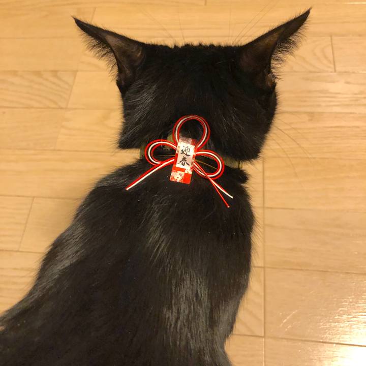 034df4bb 70cf 4233 a161 f7d88b5e92cf 1547214570218