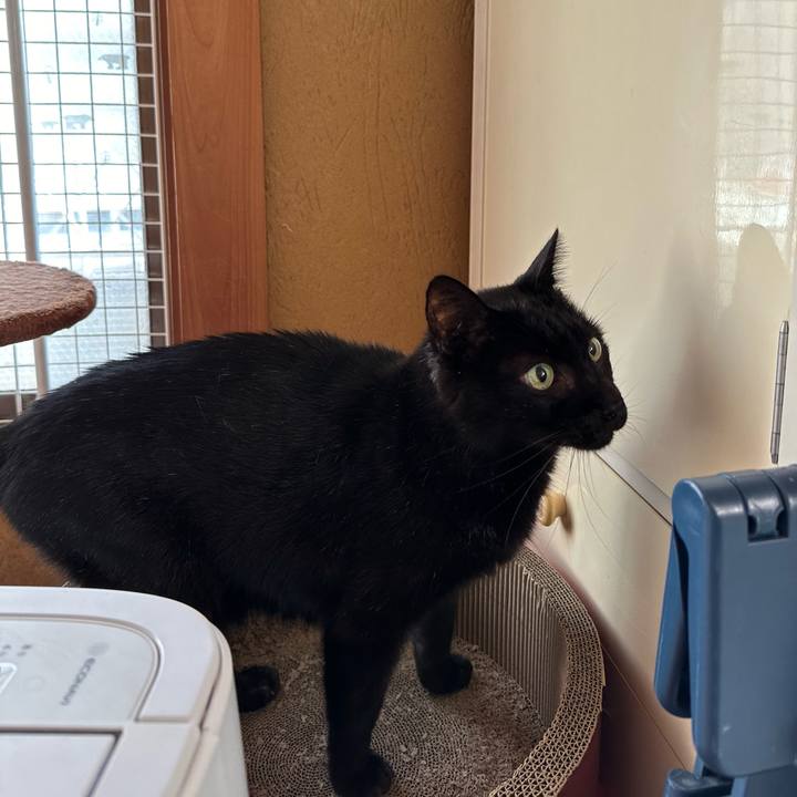 034e6dce d573 4358 8e55 d27866de6691 1698370078237