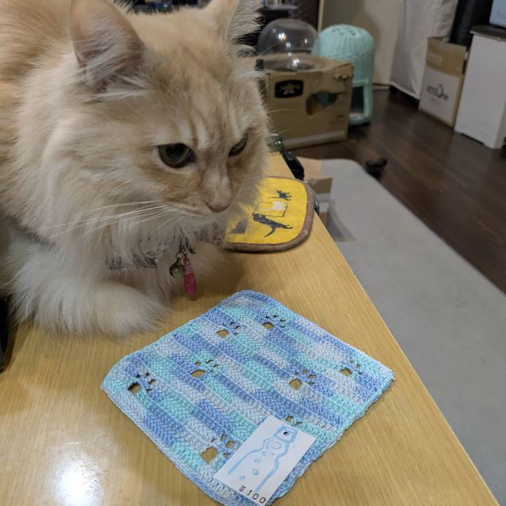 034e7177 b8f2 4c10 b40f 7d1c1030969c 1771606205503