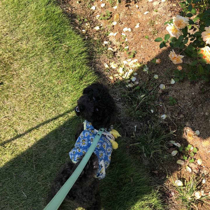 034e788d f36c 4619 81e4 3c64a26a042b 1589777502700