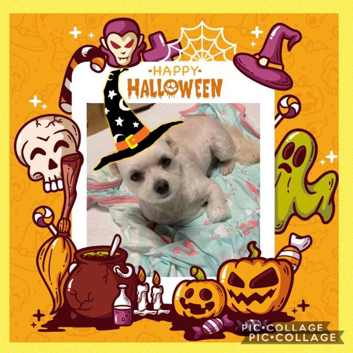 034e81a6 4de9 4b28 bfed 5714db0e51b0 1571796965841