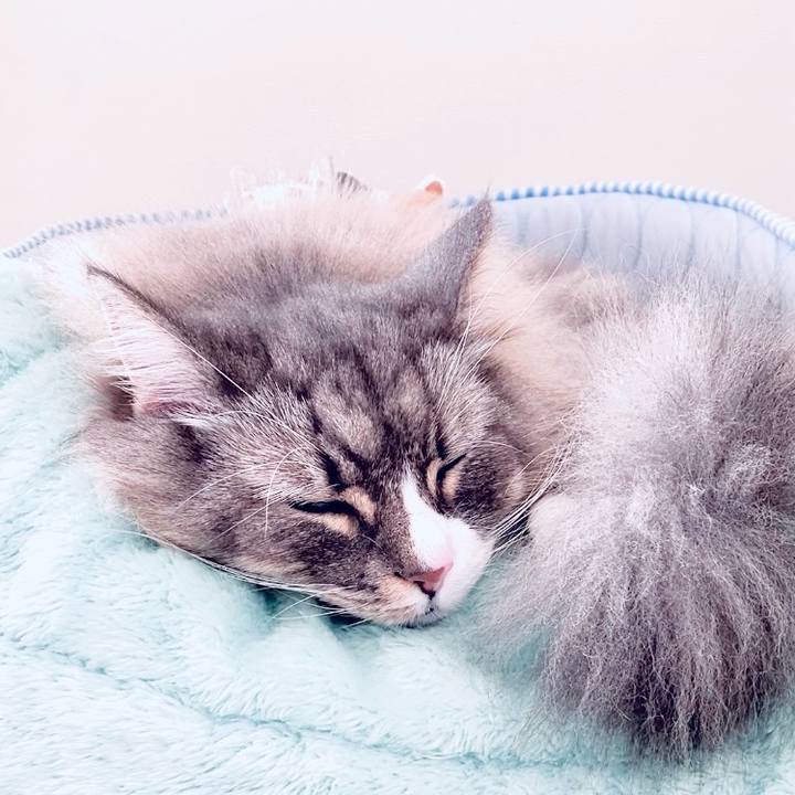 034ea48f 341f 4a93 8e7a 6e7a05e8be12 1763337377747