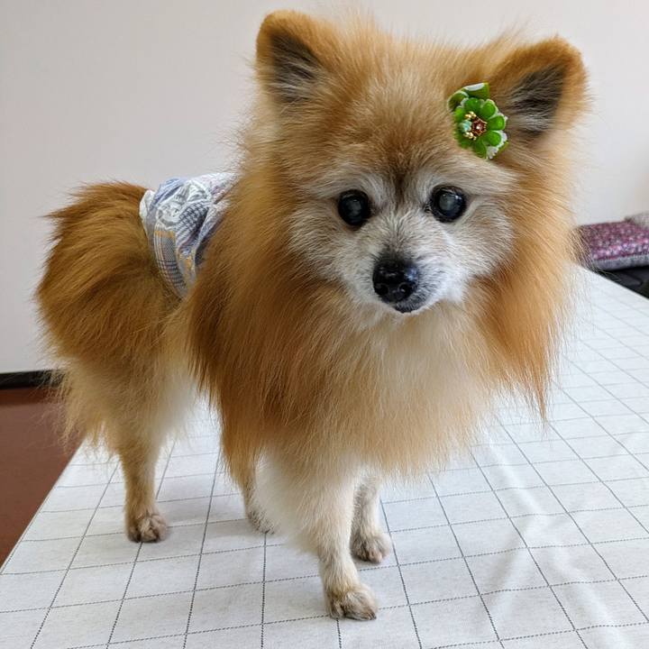 034eab9d 201a 40a2 be94 2f270c2415b2 1712045096071