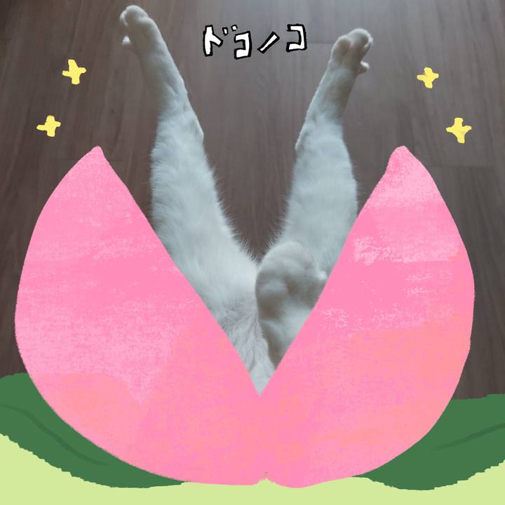 034eb8ef 660d 4774 9faa 0deafac341f0 1772061576083