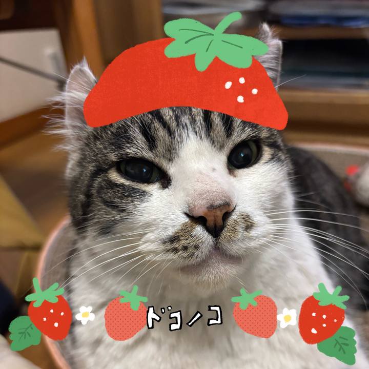 034ed00e f29c 49bd a8d6 b0097f5cc8fe 1775293542425