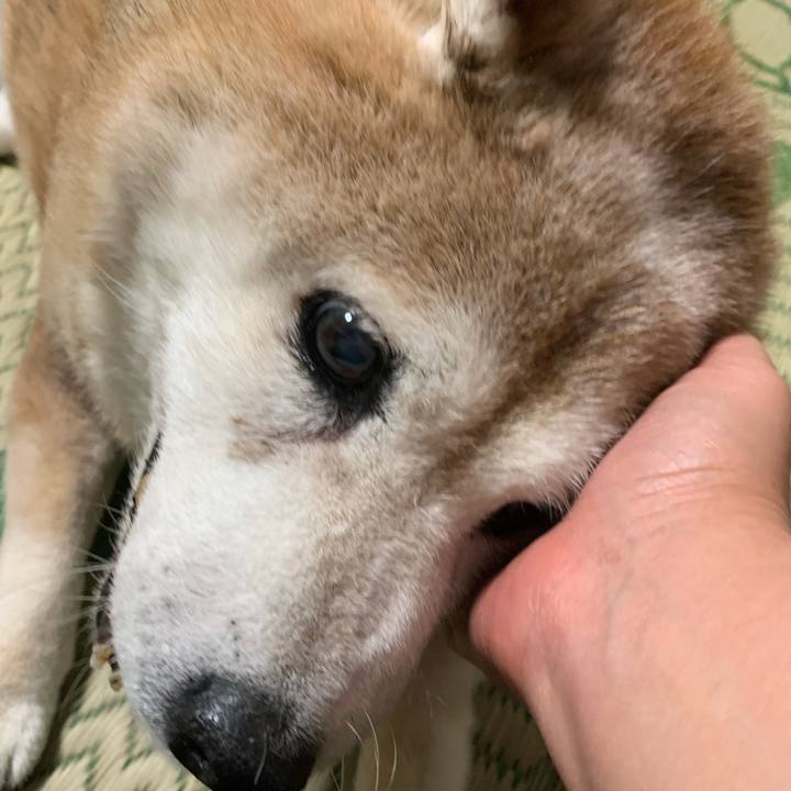 034efdd5 5db0 4274 b1f2 cbd93d178cad 1625920554745