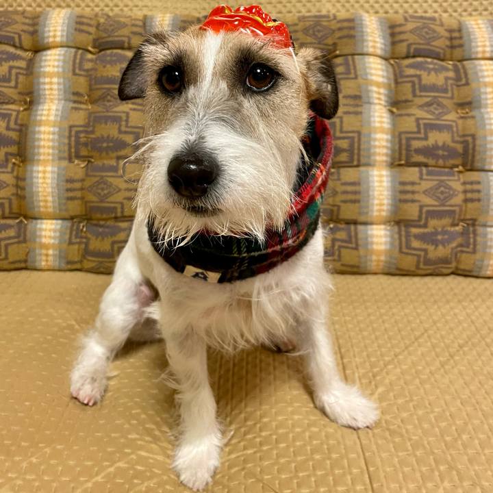 034f6709 299f 4614 991c 2423fe8c0bb6 1675425763664