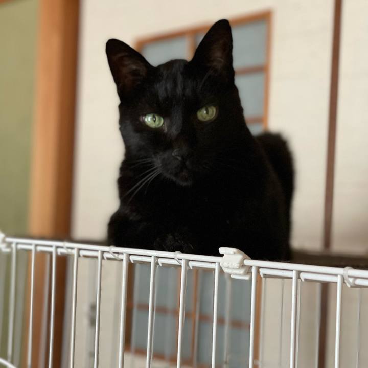 034f760a 241d 4f48 8d51 af9ad2902fe5 1663033666358