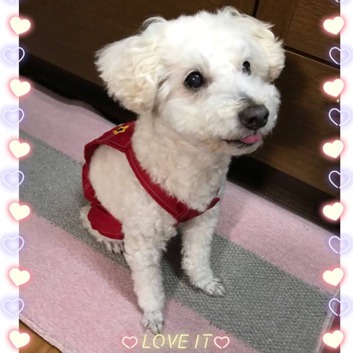 034f8ce6 73ec 4167 b242 192145d7a8a9 1520984420860