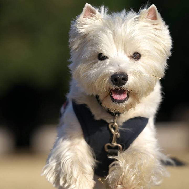 034f9dc9 0612 4b5f 9c0d 8d526f425318 1512945304601