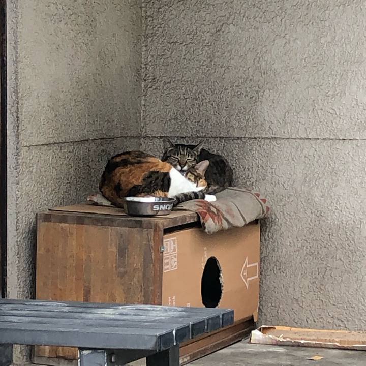 034fa3c7 81c9 47a4 aee4 025cfb334b36 1633431401208