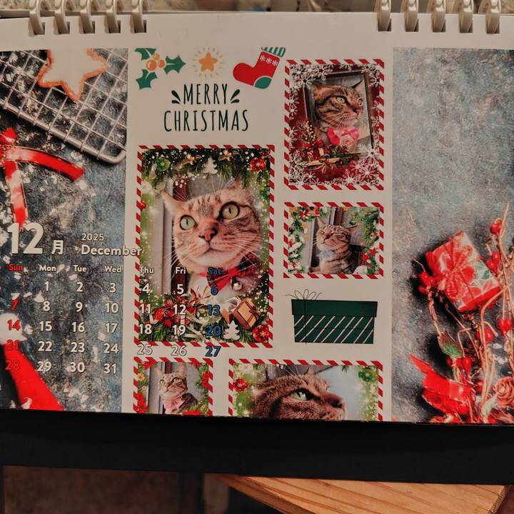 034fcfd3 eb6a 4522 807d 0d2d5ab634fd 1765673809997