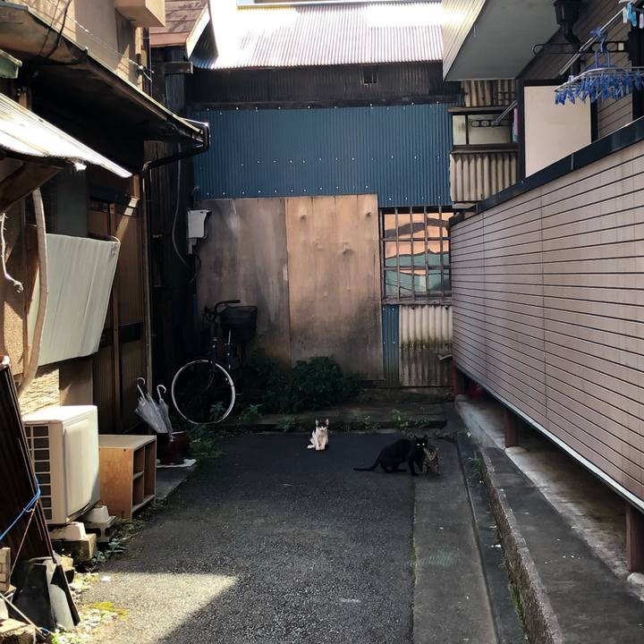 034ff608 e231 45d9 aa35 9cec34c93f97 1565876311107