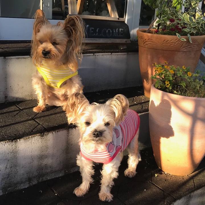 03501142 ec5e 4db9 86ad e66061c34196 1567584825281