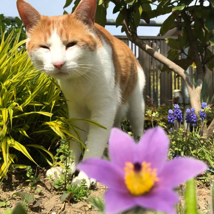 03503fbe ffb8 4be5 843a 76e82b2131a0 1524356668447