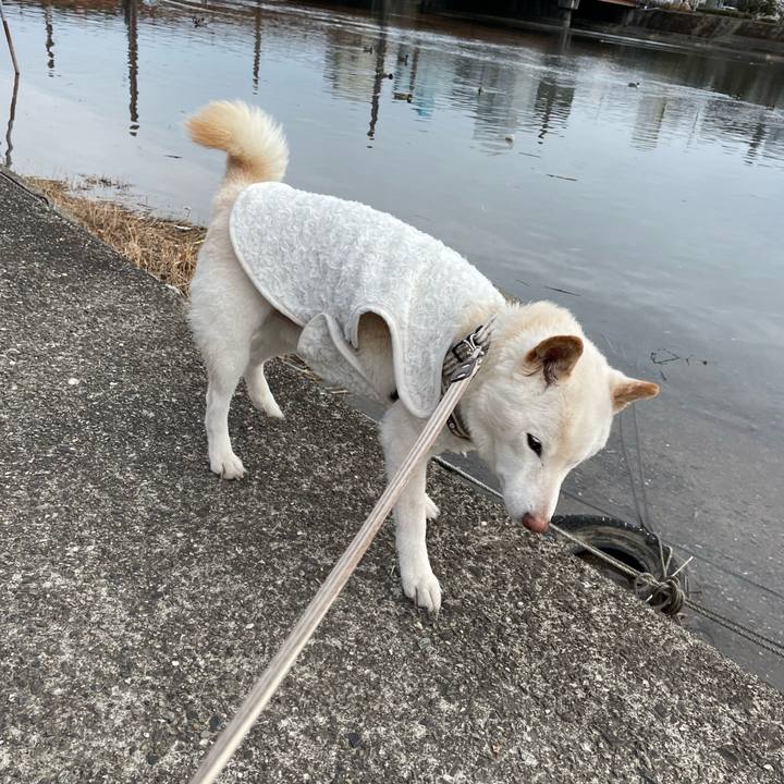 03506b6b 6492 42fe bfc3 be65b5f4ef43 1675661352593