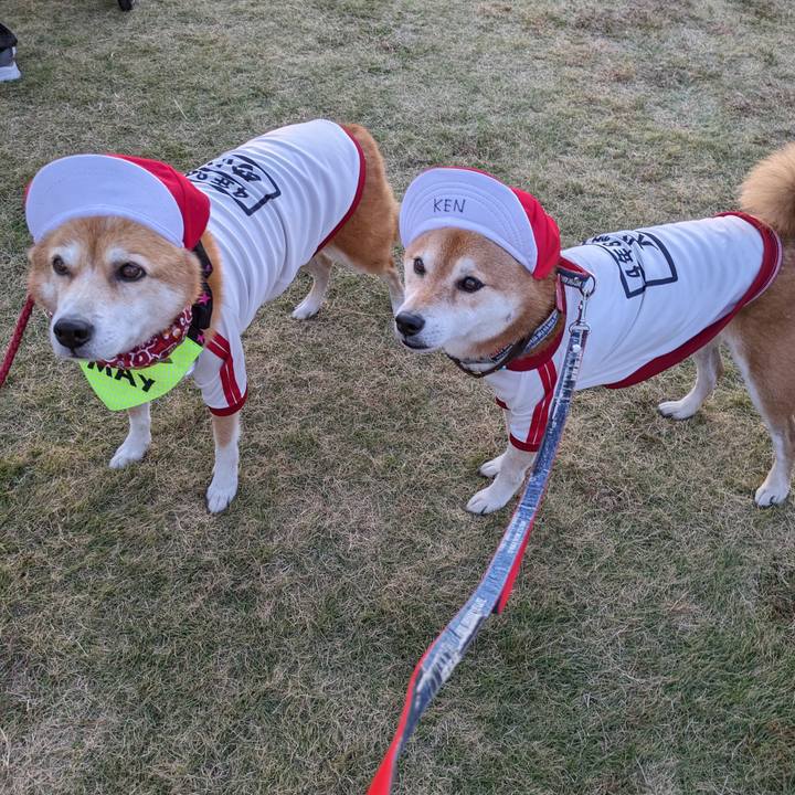 0350af38 b1cb 4cc4 b83f 89f19385fd46 1699582330458