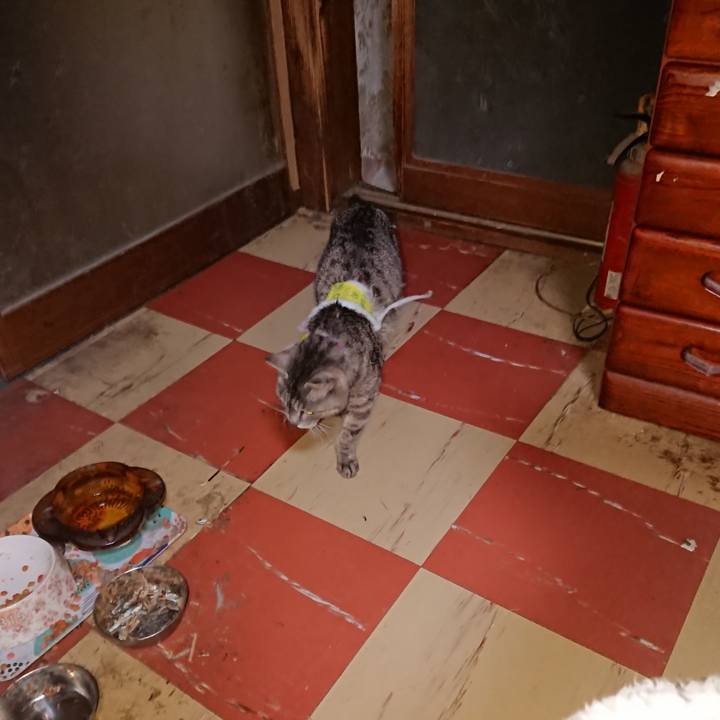 0350c412 b1f6 450e b199 8fc38298457d 1586549199239