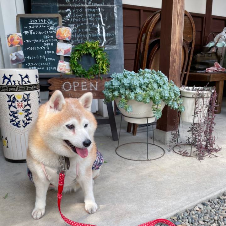 0350eb8f 5459 41f9 aac6 b38f92cd549c 1626347844690