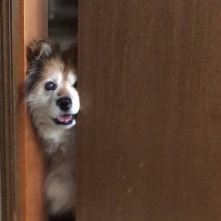 03510b2a ceef 4cc4 86b2 034f55211de1 1581123480973