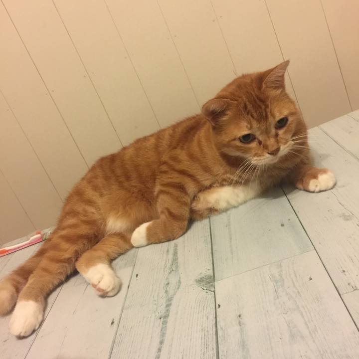 035137e7 c008 4b84 85c6 be349fea4d49 1570870414018