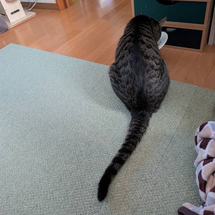 03513d71 08a6 46cc 88c3 33a953f8afe1 1775219881182