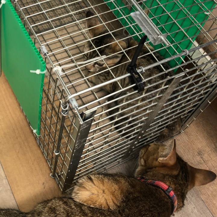 035158b6 60d4 447c 9ab5 484dfe0d2023 1661080130205