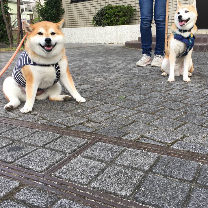 03515ad8 e940 488c 8137 4cc45df2abc7 1566168186977