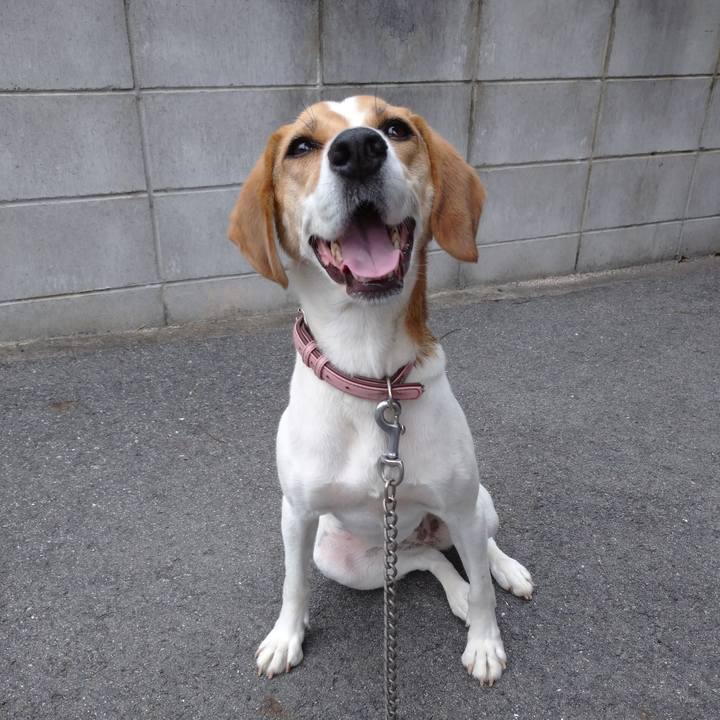 0351927f 0eeb 47ff 931a a469bb1c937c 1594890775315