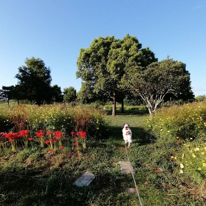 0351a28f 0831 4b0c 95da 77ebdb4ca986 1601511462799