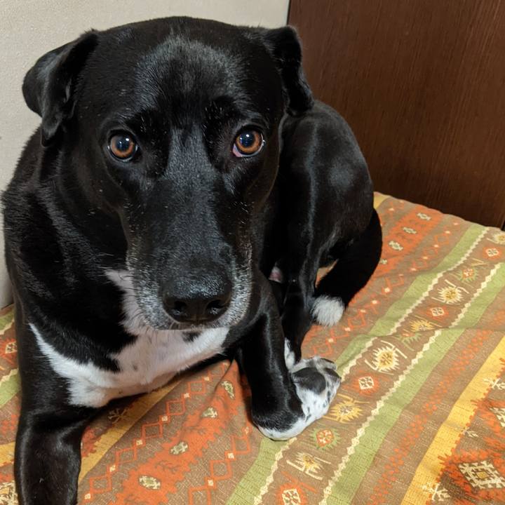 0351fc9d 03ff 4bcc a76b b97c43e2e4db 1663546361493