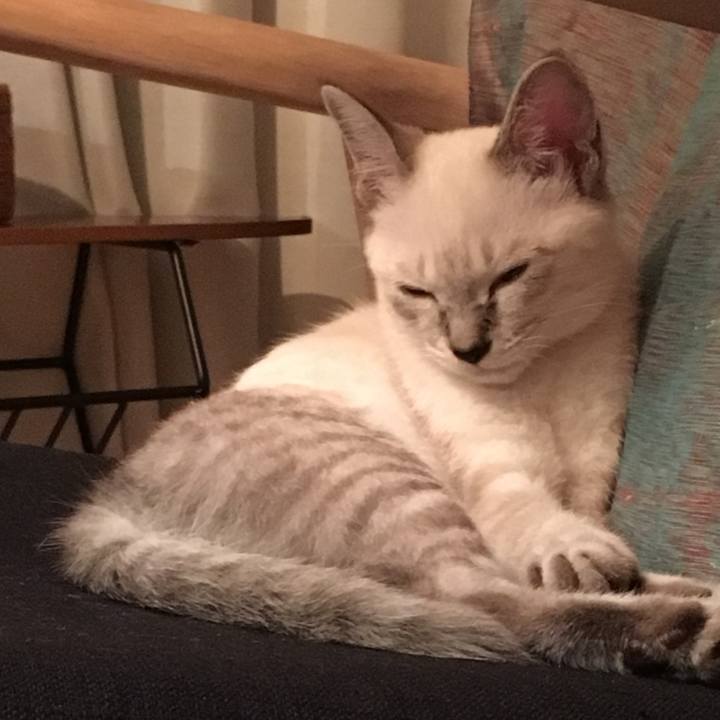 0351fcf9 28cd 4204 9e32 27adaa606bc3 1535172792707