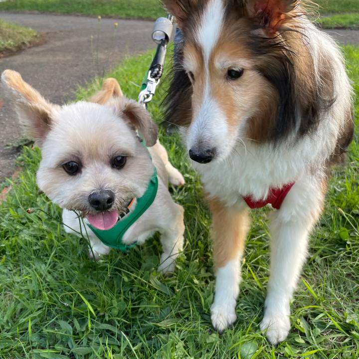 035202f1 6e52 4c56 b8ff d57b7006df51 1631089097516