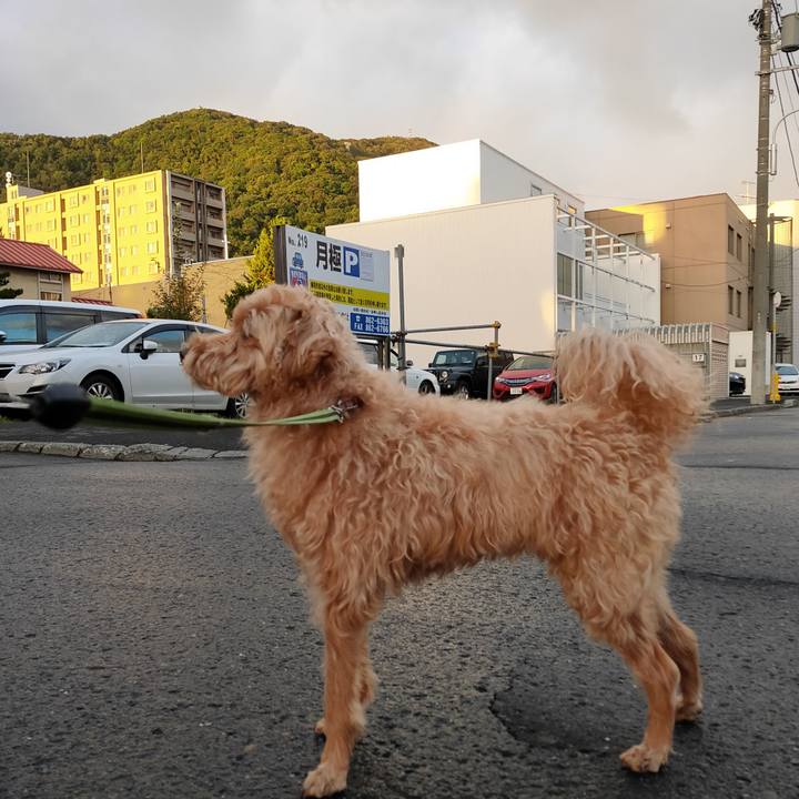 03521b43 90a7 4658 9d3f 67eaac1323a3 1601243895892