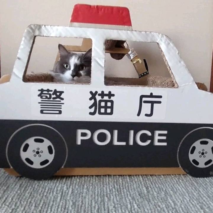 03525265 fec0 4113 9dfb 3667e10d35bf 1755411832381